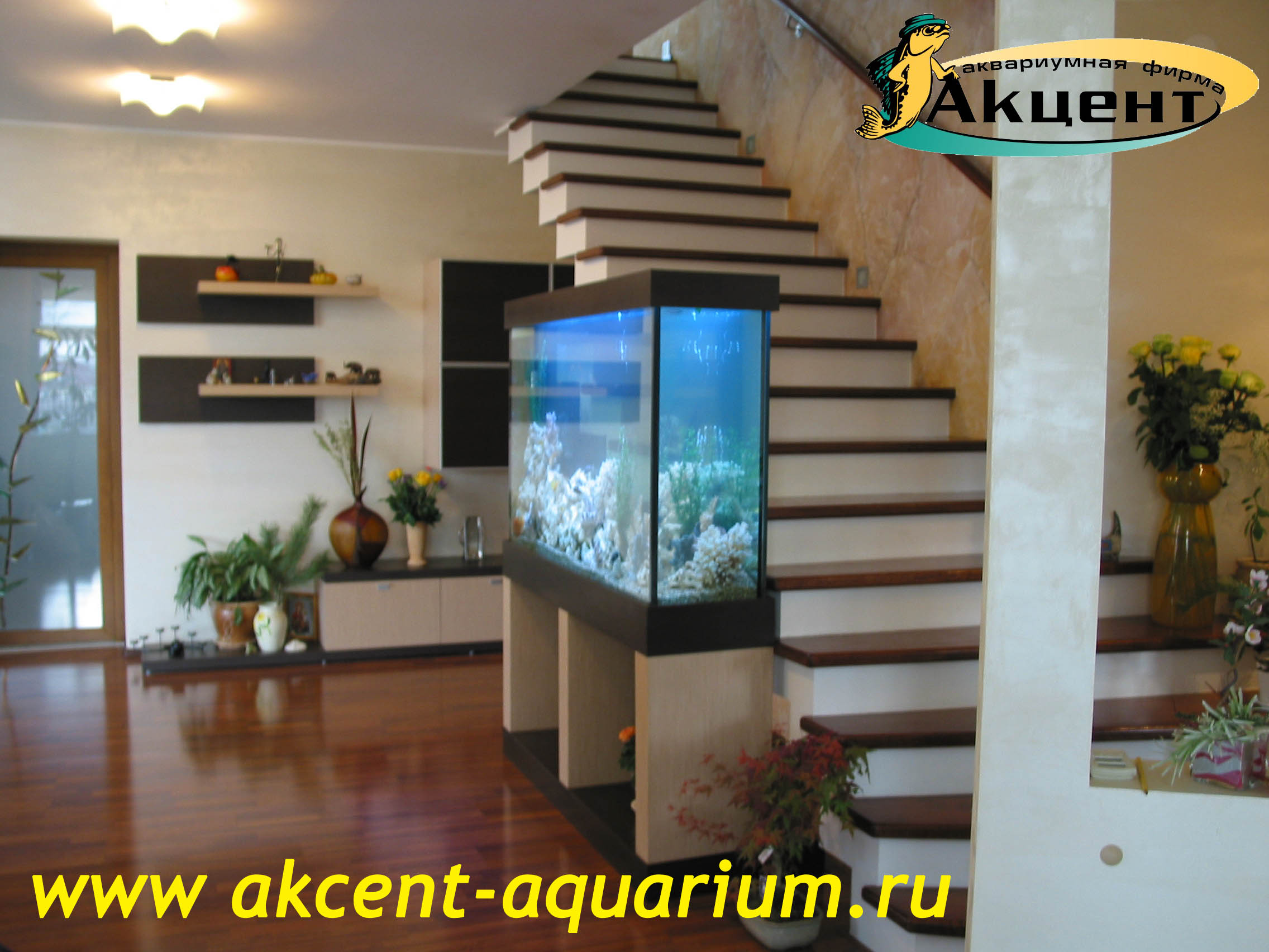 Акцент-аквариум, аквариум просмотровый 600 литров